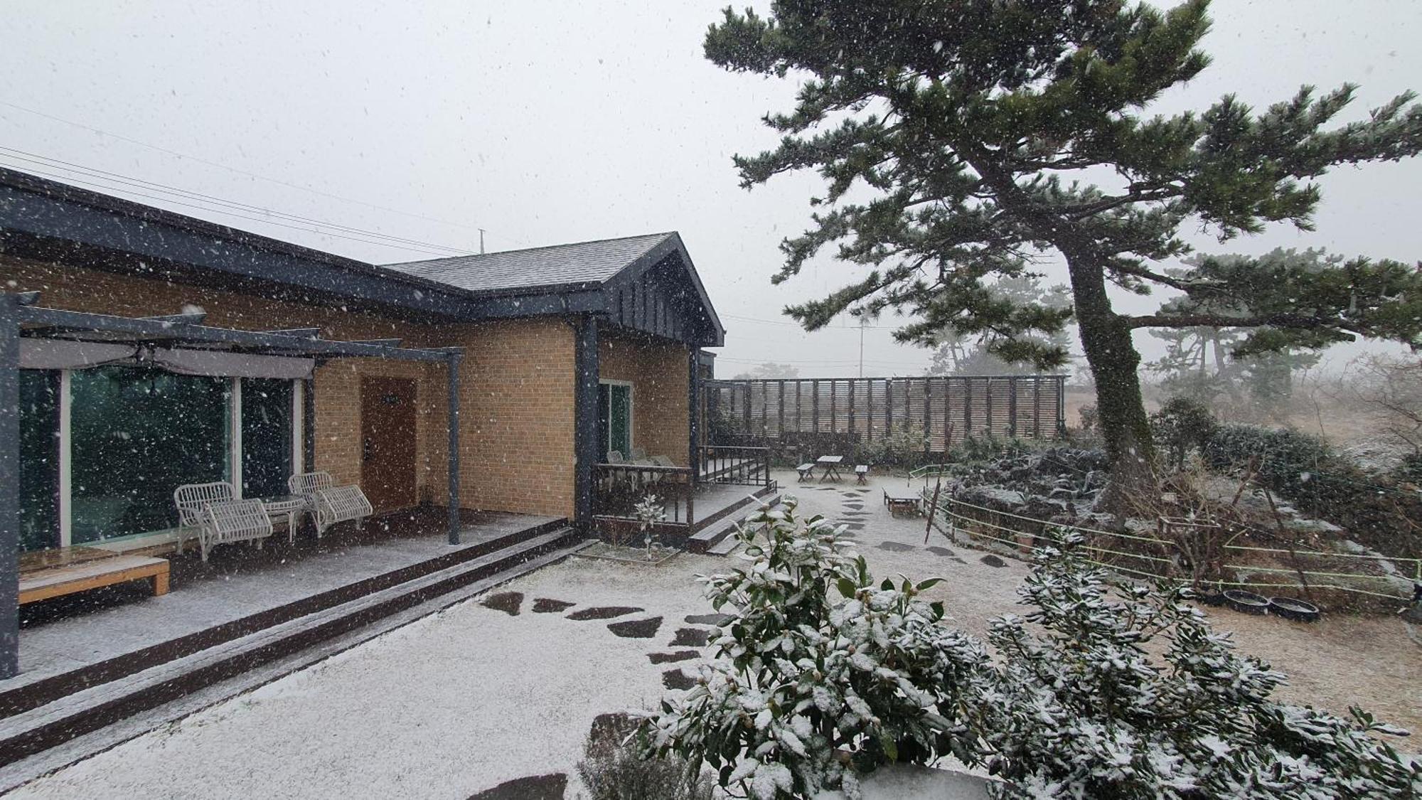 Wind Jeju Cafe&Pension Seogwipo Bagian luar foto