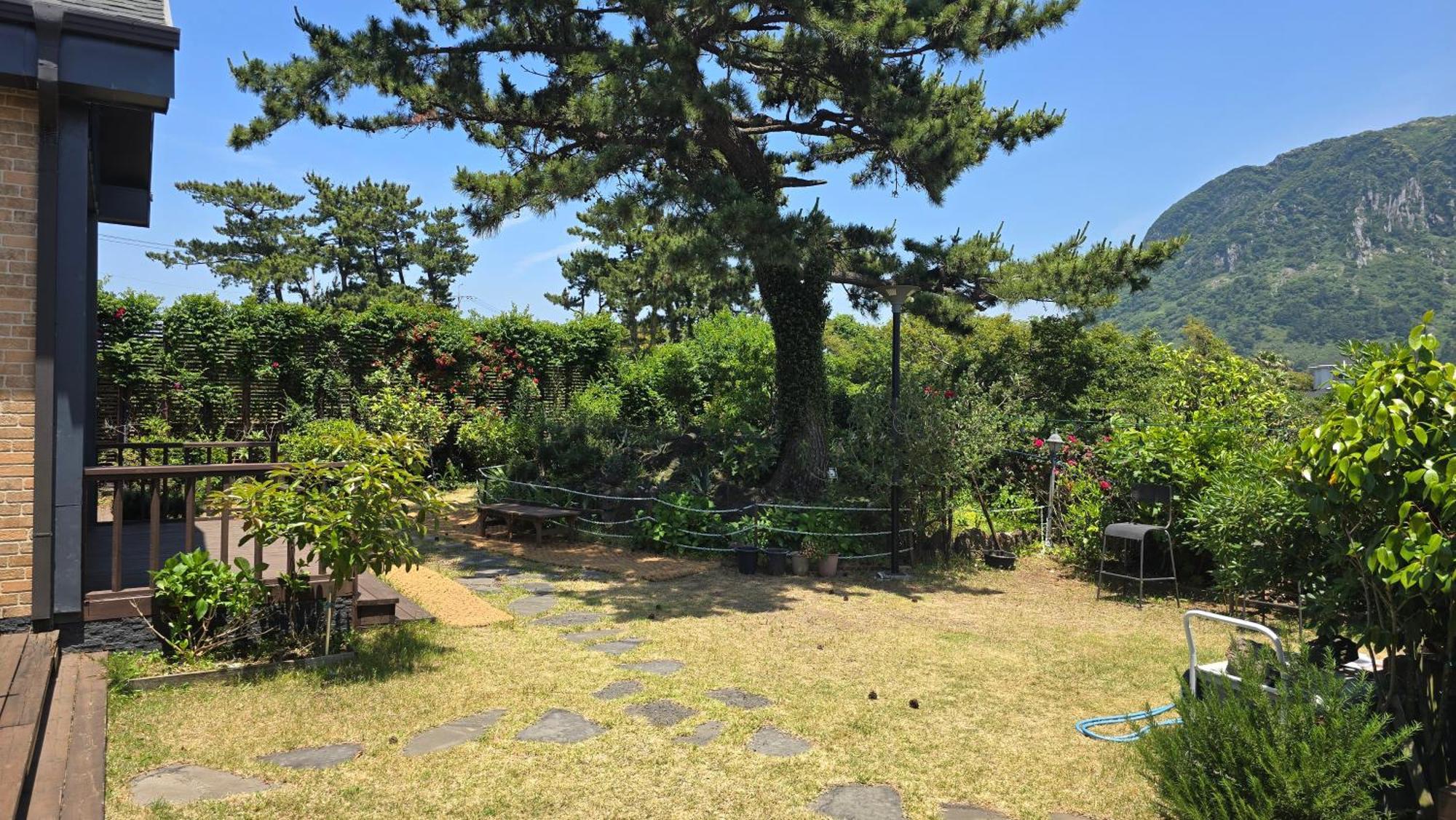 Wind Jeju Cafe&Pension Seogwipo Bagian luar foto