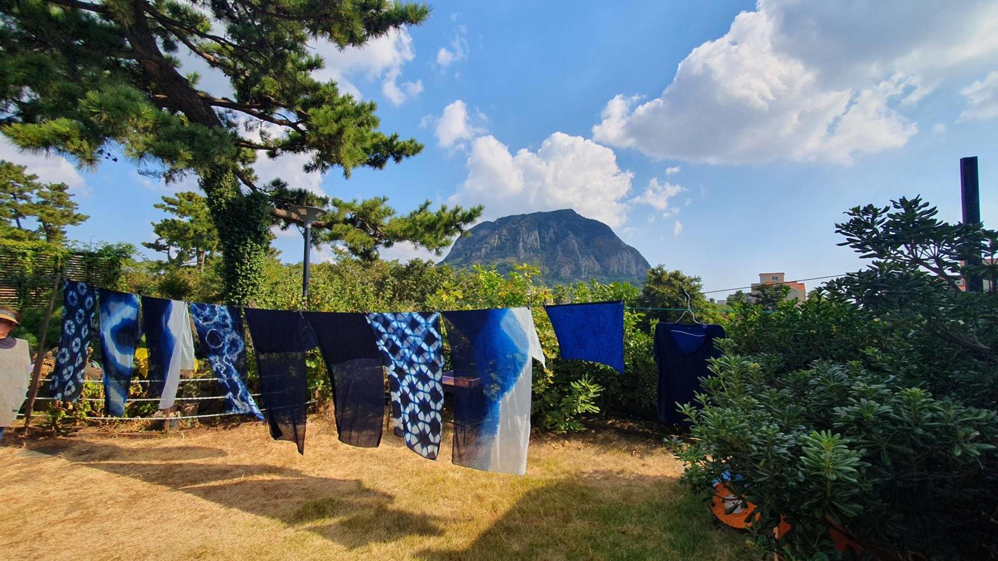 Wind Jeju Cafe&Pension Seogwipo Bagian luar foto