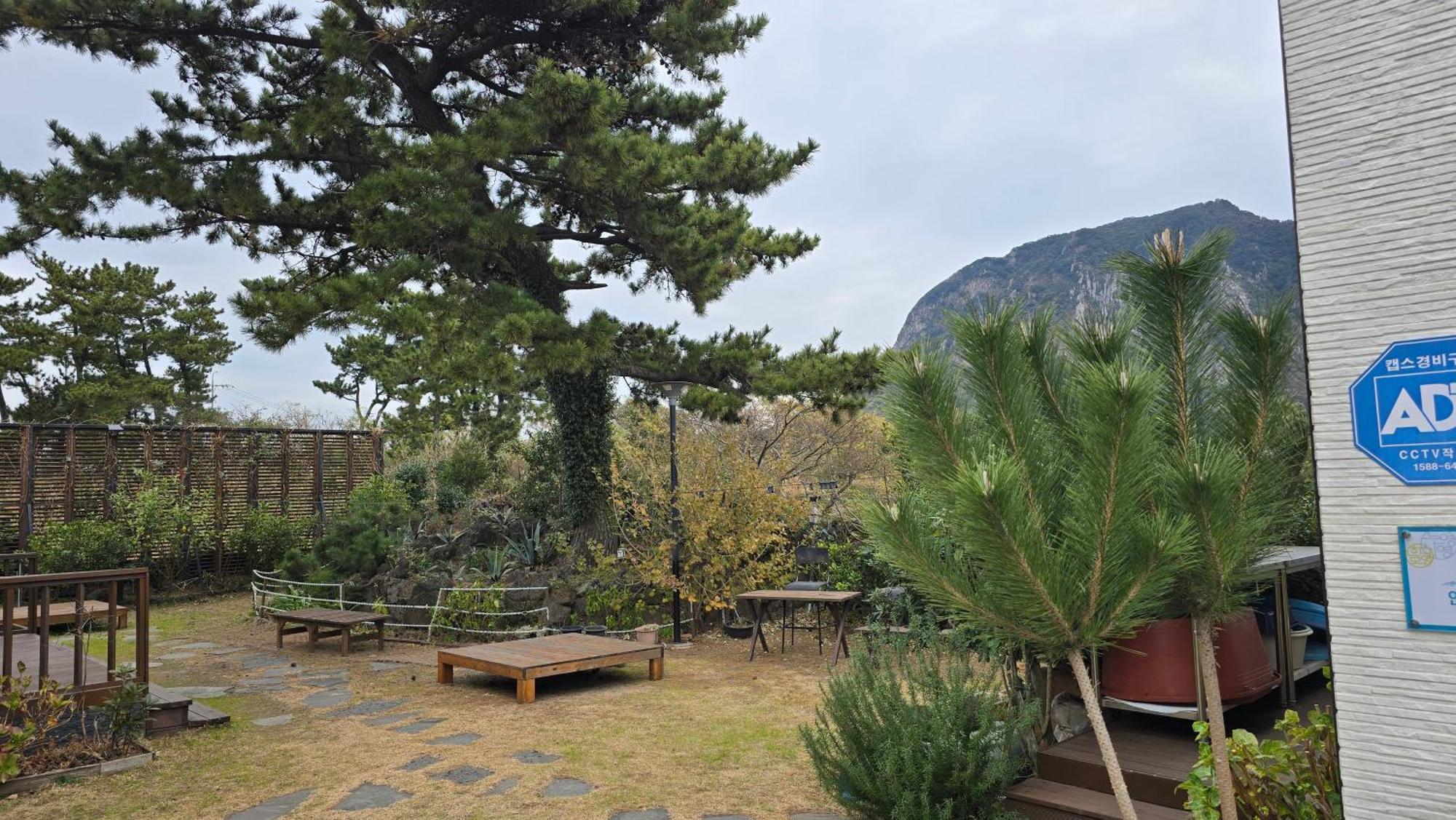 Wind Jeju Cafe&Pension Seogwipo Bagian luar foto