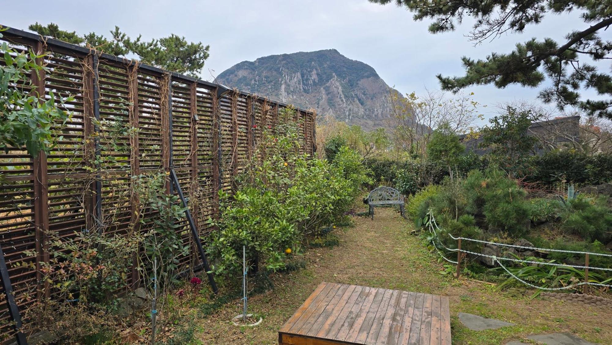 Wind Jeju Cafe&Pension Seogwipo Bagian luar foto