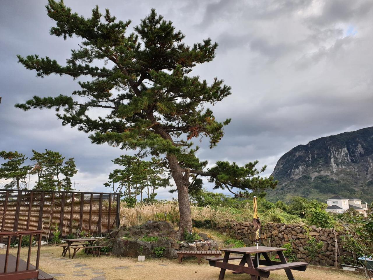 Wind Jeju Cafe&Pension Seogwipo Bagian luar foto