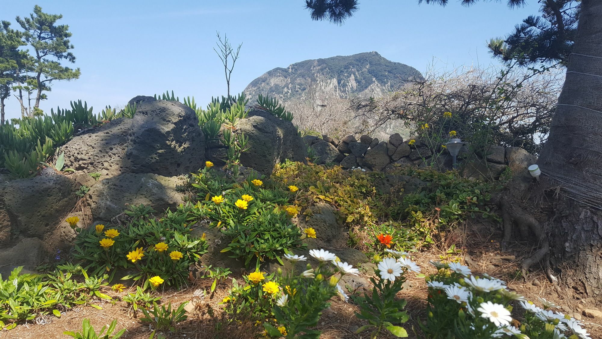 Wind Jeju Cafe&Pension Seogwipo Bagian luar foto