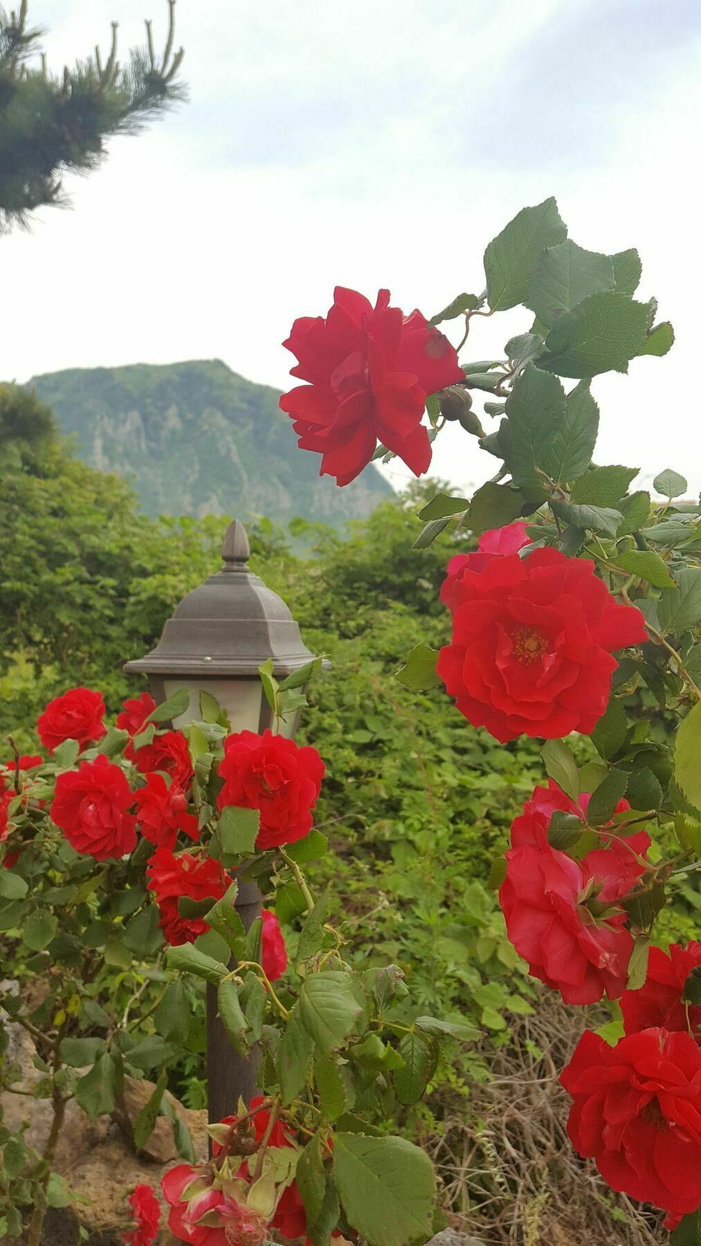 Wind Jeju Cafe&Pension Seogwipo Bagian luar foto