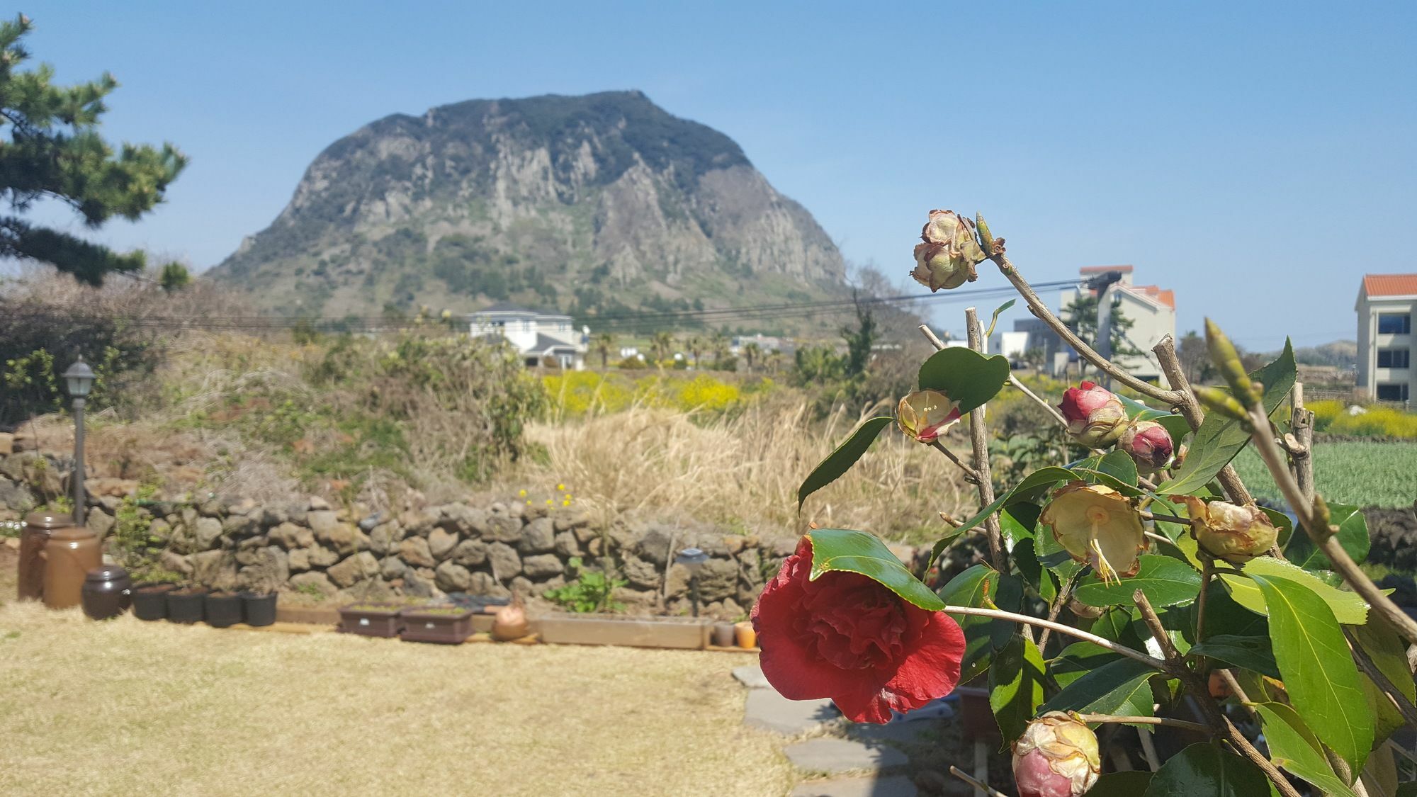 Wind Jeju Cafe&Pension Seogwipo Bagian luar foto